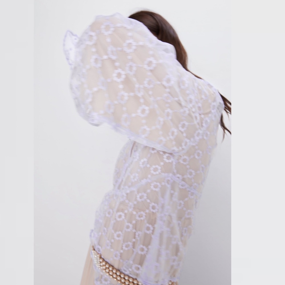 ZARA BNWT Embroidered Semi-Sheer Blouse - Picture 3 of 8